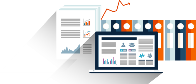 5px Digital - Web Tasarım ve Dijital Çözümler